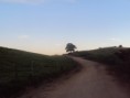 /album/volta-estrada-sepeatiba/dsc00608-3648x2736-jpg/