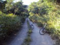 /album/volta-serra-sepeatiba-mai2010/dsc00874-3648x2736-jpg/