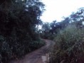 /album/volta-serra-sepeatiba-mai2010/dsc00878-3648x2736-jpg/