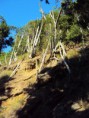 /album/volta-serra-sepeatiba-mai2010/dsc00884-2736x3648-jpg/